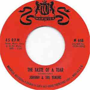 Johnny & The Tokens - The Taste Of A Tear
