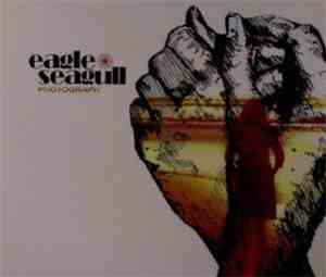 EagleSeagull - Photograph