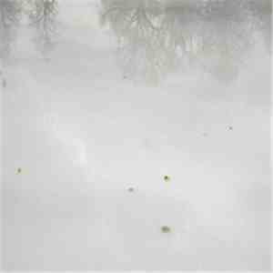 Kyle Bobby Dunn - Six Cognitive Works