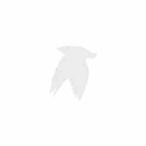 Pray For Teeth - I'm Still Finding Feathers In My Hair