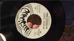 Chocolate Tunnel - Ostrich People/Highly Successful Young Rupert White