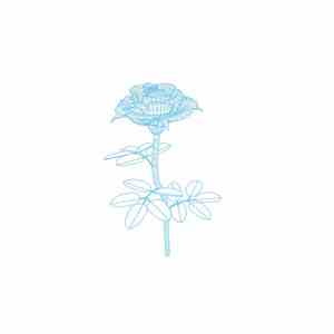 Speculator  - Nice