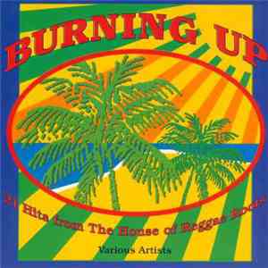 Various - Burning Up