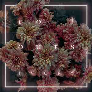 Colours  - Ivory