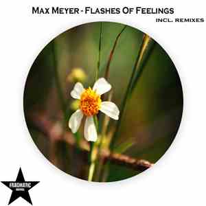 Max Meyer - Flashes Of Feelings