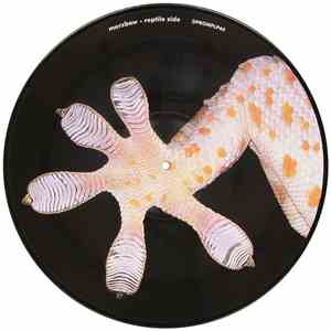 Merzbow / Band Of Pain - The Celebration Of The Lizard / March Of The Myria ...