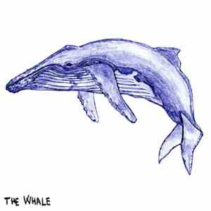 R. Lobster - The Whale
