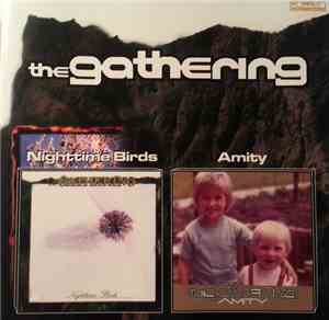 The Gathering - Nighttime Birds /  Amity