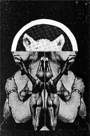 Meat Mist / Morse  - Meat Mist / Morse