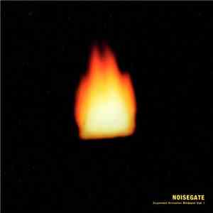 Noisegate - Suspended Animation Ambient Vol. I