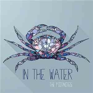The Footnotes - In The Water