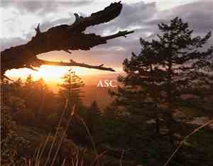 ASC - The Light That Burns Twice As Bright