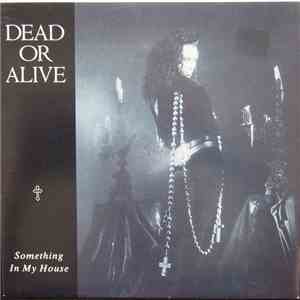 Dead Or Alive - Something In My House