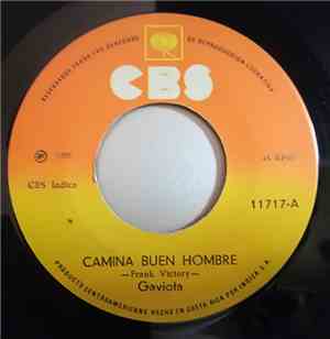 Gaviota - Camina Buen Hombre / Vuelve