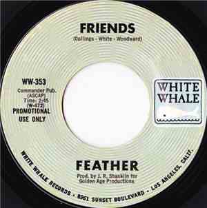 Feather - Friends