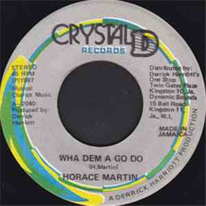Horace Martin / Chariot Riders - Wha Dem A Go Do / Dub Style