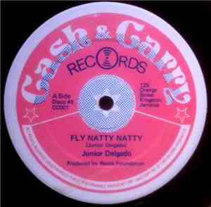 Junior Delgado - Fly Natty Natty