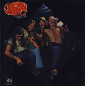 Stray - Houdini