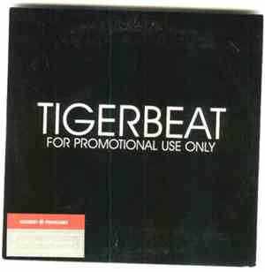 Tigerbeat - Beat Me 'Till I Understand / Heartbreak Kid