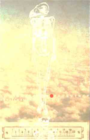 The Scarecrow Frequency - Monarch Atlantic