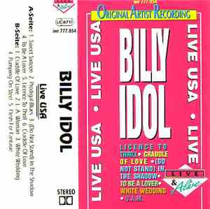 Billy Idol - Live USA