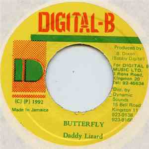 Daddy Lizard - Butterfly