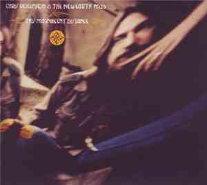 Chris Robinson & The New Earth Mud - This Magnificent Distance