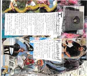 Inorgania, Plundeshopf - Labia Majority Rules/Untitled