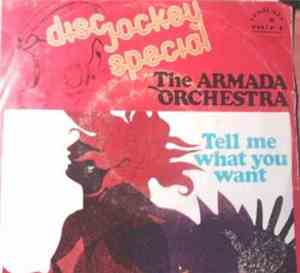 The Armada Orchestra - Tell Me What You Want