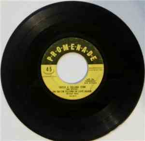 The Promenade Orchestra & Chorus - Catch A Falling Star