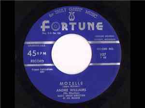 Andre Williams  - Mozelle / Just Want A Little Lovin'