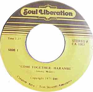 Soul Liberation - Come Together- Harambe / You Can Call Me A Fool