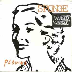 Sponge  - Plowed