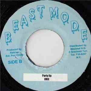 DMX / P!NK - Party Up / There You Go