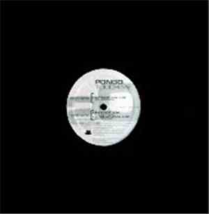 Pongo  - Touch Me